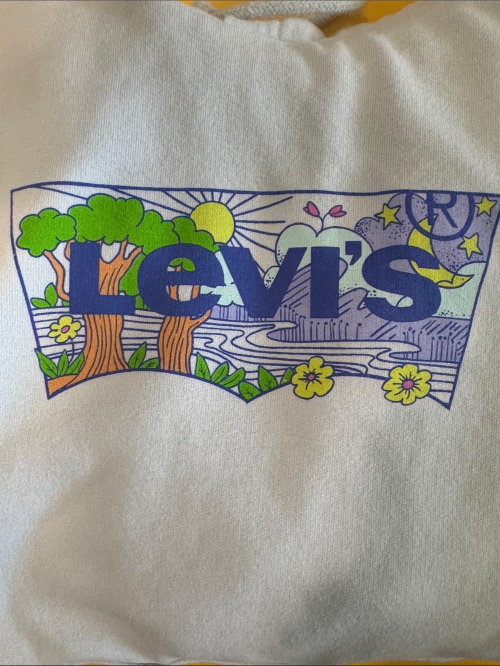 Levi's Graphic Pullover Hoodie in Light Blue